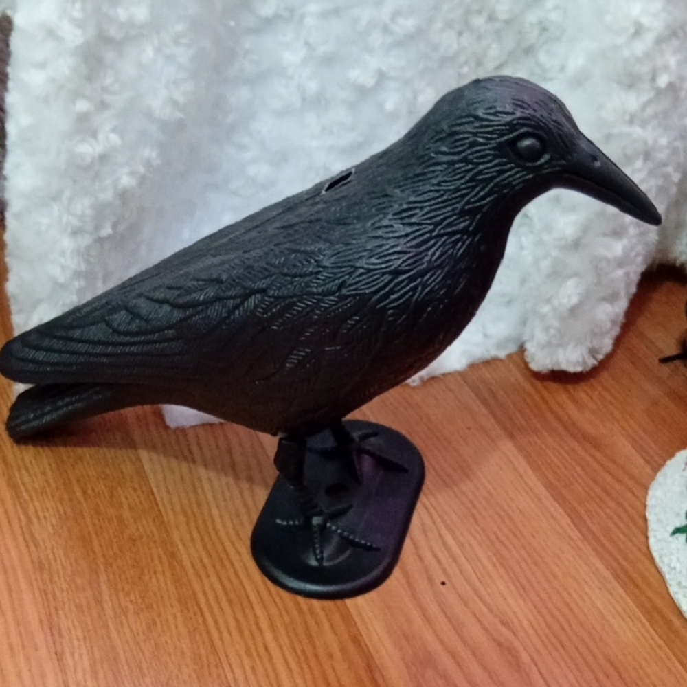 Black Bird Halloween Fall Decor